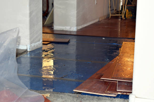 Professional Sewage Cleanup technician working in Henriette, MN